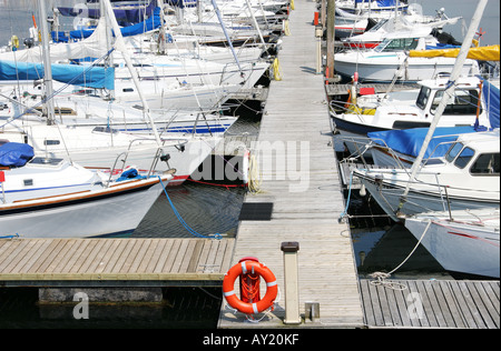 Yachten in der Marina, TRoon, Ayrshire, Schottland Stockfoto