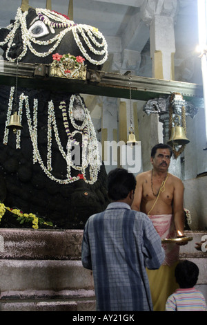 Ein Priester hält eine Puja im Bull Tempel in der daraus Distrikt Bangalore. Stockfoto