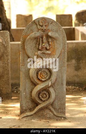 Steinen, Bilder von Schlangen in der Nähe von Mysore, Karnataka darstellt. Sie sind bekannt als "Schlange Stones". Stockfoto