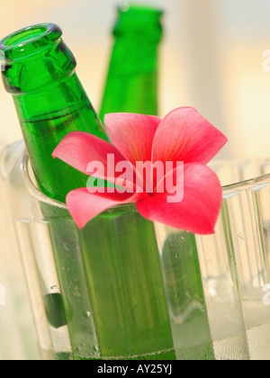 Nahaufnahme einer Bierflasche und eine Blume in einem Krug Stockfoto