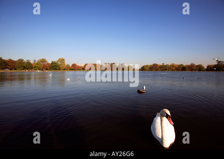 VEREINIGTES KÖNIGREICH LONDON KENSINGTON GARDENS PARK RUNDEN TEICH Stockfoto