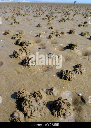 Wattwurm wirft an einem Strand an der Swansea Wales Großbritannien mit ein paar Leute im Hintergrund Stockfoto