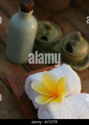 Erhöhte Ansicht einer Frangipani Blume auf zwei Handtücher (Plumeria) aufgerollt Stockfoto