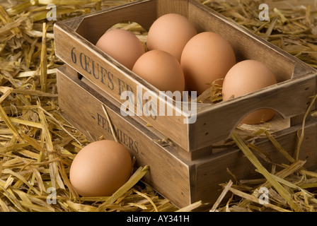 Schachtel gelegt frisch Bio Hühnereier Stockfoto