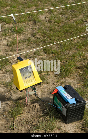 landwirtschaftlichen Elektrozaun, Norfolk, england Stockfoto
