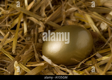 goldenes Ei im nest Stockfoto