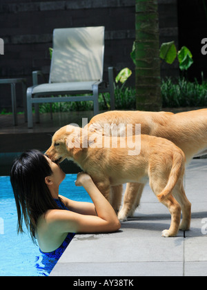 Seitenansicht einer jungen Frau mit zwei golden Retriever Hunde am Pool Stockfoto