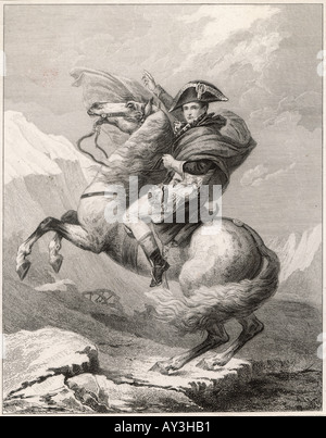 Kreuzung von Bernhardiner Stockfoto