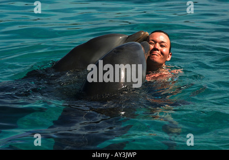 Niederländische Antillen Curacao Schwimmen mit Delphinen in der Dolphin academy Stockfoto