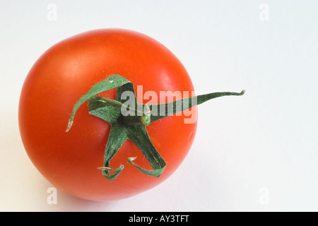 Nahaufnahme einer einzelnen roten Tomate mit grünem Stamm, isoliert vor weißem Hintergrund Stockfoto