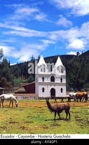 Ecuador Cayambe Hosteria Guachala Stockfoto