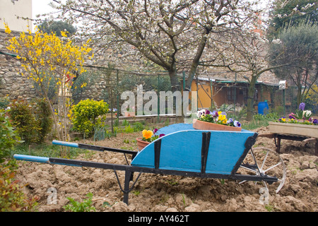 Garten mit gemalten blauen Schubkarre mit Stiefmütterchen im Topf Stockfoto