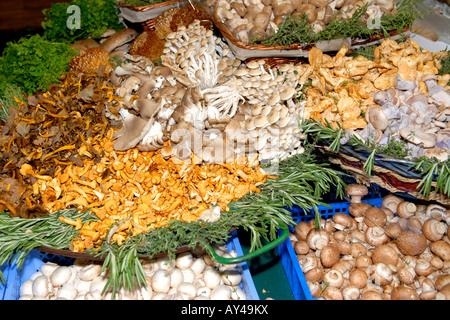 Borough Market, Stall Anzeige der Pilze Girolle, Cepe, Cremini-, braune Mützen, Auster, Enoki, Schnee Blätterteig & Buna shimeji Stockfoto