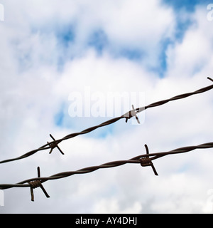 Stacheldraht / Barbwire gegen blauen Himmel Stockfoto