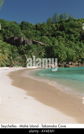 Seychellen Insel Mahé Takamaka Bucht Stockfoto