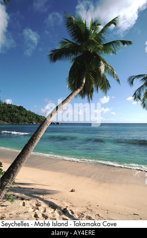 Seychellen Insel Mahé Takamaka Bucht Stockfoto