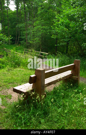 Bank neben der Brücke über den Dowles Bach Wyre Forest worcestershire Stockfoto