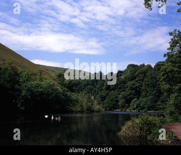 Fluss Wye fließt durch Monsal Dale bei Monsal Kopf in der Nähe von Bakewell Derbyshire England Stockfoto