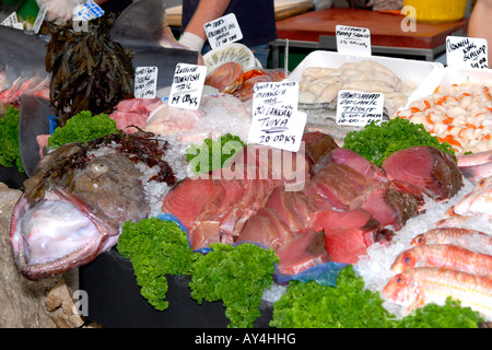 Nassen Frischfisch Stall mit Thunfisch, Seeteufel, Forelle, "Muscheln" Shark Red Snapper, Brill, Lachs, Seehecht, Tintenfisch, Petersfisch Steinbutt Stockfoto