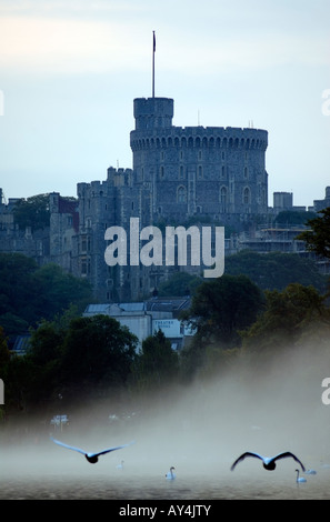 Doug Blane Winsor Castle auf der Themse mit Schwäne fliegen im Morgennebel Stockfoto