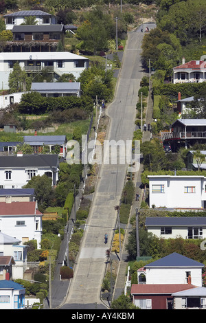 Baldwin Street Welt s steilste Straße Dunedin Neuseeland Südinsel Stockfoto