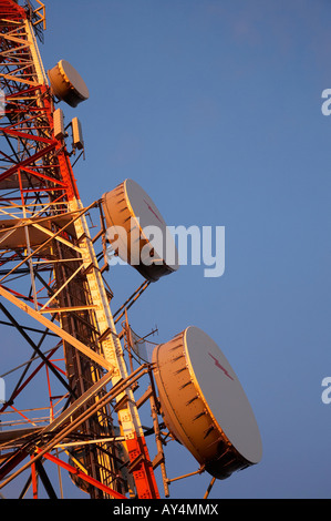 Fernsehen Mast Mt Cargill Dunedin Neuseeland Südinsel Stockfoto