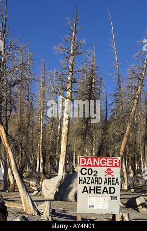 Giftiges Gas Gefahr melden Warnung vor Gefahr durch natürlichen Kohlendioxid-Ausstoßes Horseshoe Lake Mammut Eastern Sierra Kalifornien USA Stockfoto