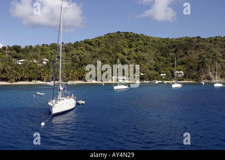 Festgemachten Jachten auf Cooper Island British Virgin Islands-Karibik Stockfoto