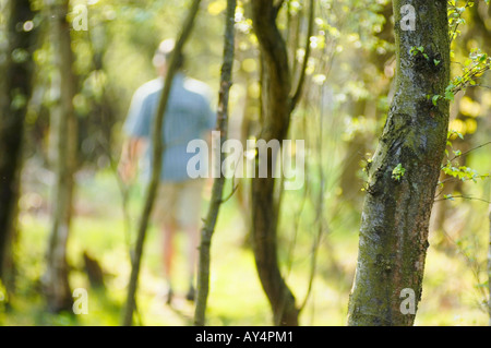 Mann zu Fuß in einem Wald im Frühjahr Stockfoto