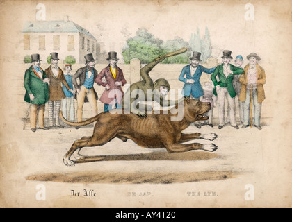 Affe reitet Hund 1845 Stockfoto