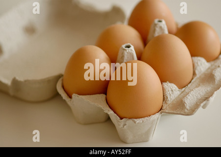 EIERN IN EGG BOX CONTAINER Stockfoto