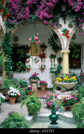 Cordoba können Patio Wettbewerb Festival Andalusien Andalusien Spanien Blumen in Hülle und Fülle Hof Stockfoto