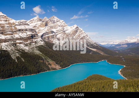 Erhöhten Blick über Peyto Lake von glazialen Schlick in Banff gefärbt / Nationalparks Jasper, Alberta, Kanada Nordamerika Stockfoto