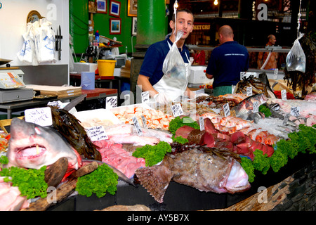 Nassen Frischfisch Stall zu verkaufen Forelle Jakobsmuscheln, Tintenfisch Hai, Red Snapper, Thunfisch, Seeteufel, Brill Lachs, Seehecht Petersfisch, Steinbutt Stockfoto