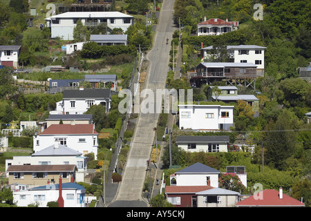 Baldwin Street Welt s steilste Straße Dunedin Neuseeland Südinsel Stockfoto