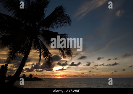 Verlassener Strand bei Sonnenuntergang mit Palme im Vordergrund Borneo, Süd-Ost-Asien Stockfoto