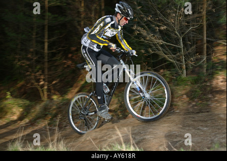 Ein Langlauf-Mountainbiker reitet auf seinem Mountainbike durch den Wald Stockfoto