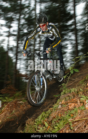 Ein Langlauf-Mountainbiker reitet auf seinem Mountainbike durch den Wald Stockfoto