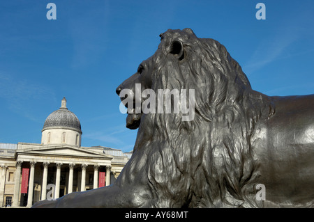 National Gallery Trafalgar square Stockfoto