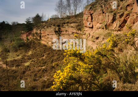 Canyon im Parkhall Landschaft Park Stockfoto