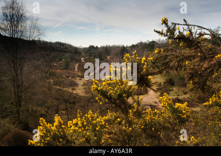 Parkhall Landschaft Park canyon Stockfoto