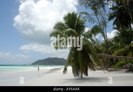 Eine der weltweit großen Strände der Cote d ' or (Anse Vobert) auf Praslin Insel auf den Seychellen im Indischen Ozean Stockfoto