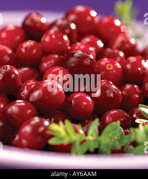 Preiselbeeren in einer Schüssel mit Stielen Stockfoto