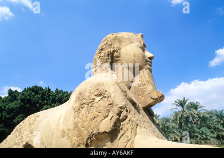 Viermonatiges Le Caire le Sphinx d Aménophis III Memphis Stockfoto