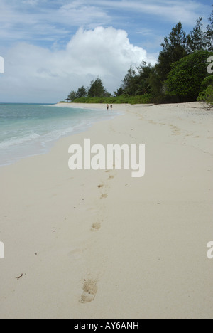 Fußabdrücke auf einem einsamen Sandstrand auf Denis Island auf den Seychellen im Indischen Ozean Stockfoto