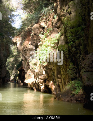 Yincui Schlucht, Jiuxiang Scenic Spot, Kunming, China Stockfoto