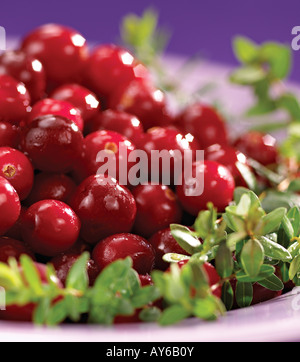 Preiselbeeren in einer Schüssel mit Stielen Stockfoto