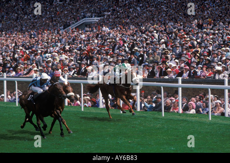 Royal Ascot Horse Races in Berkshire, Menschenmassen, die Pferde beobachten, kommen zum Ziel. England 1985 Großbritannien 1980er Jahre HOMER SYKES Stockfoto