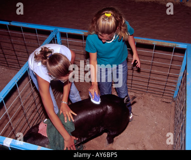 Herr 661 Leslie Sanchez und Felicia Chavez schrubben und Bürsten Sie ihre Preis-Schwein für Lincoln County Fair, in Capitan, New Mexico. Stockfoto