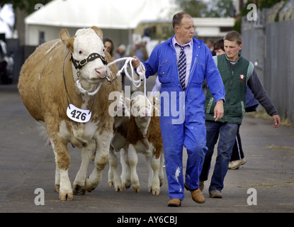 Royal Highland show edinburgh Stockfoto